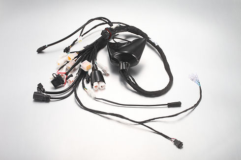 E7606 - main wiring harness - Eride Pro New Zealand