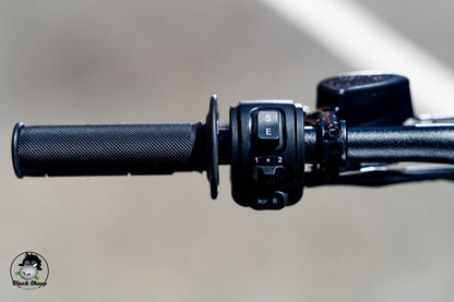 E RIDE PRO SS 3.0 BLUE